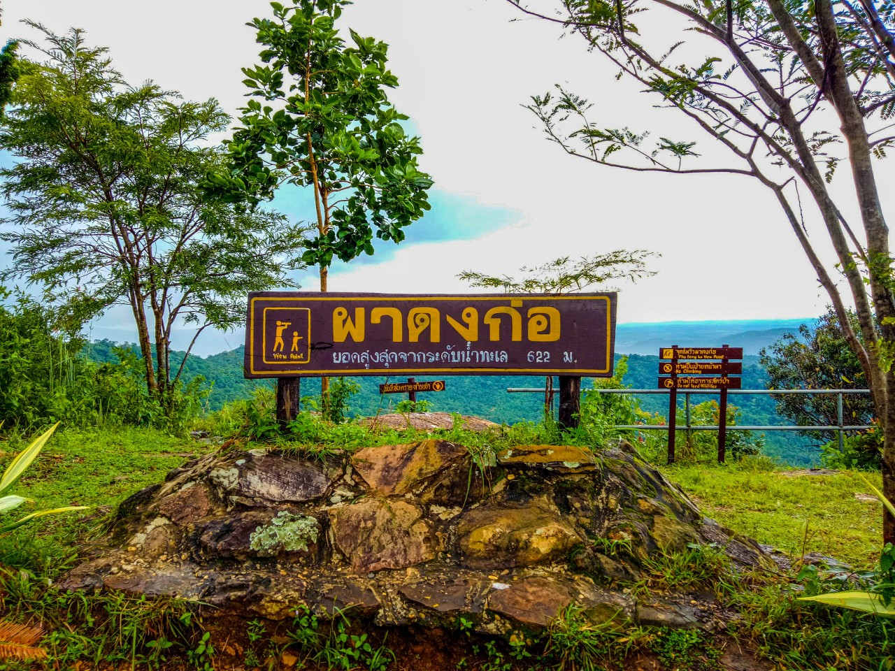 ผาดงก่อ 